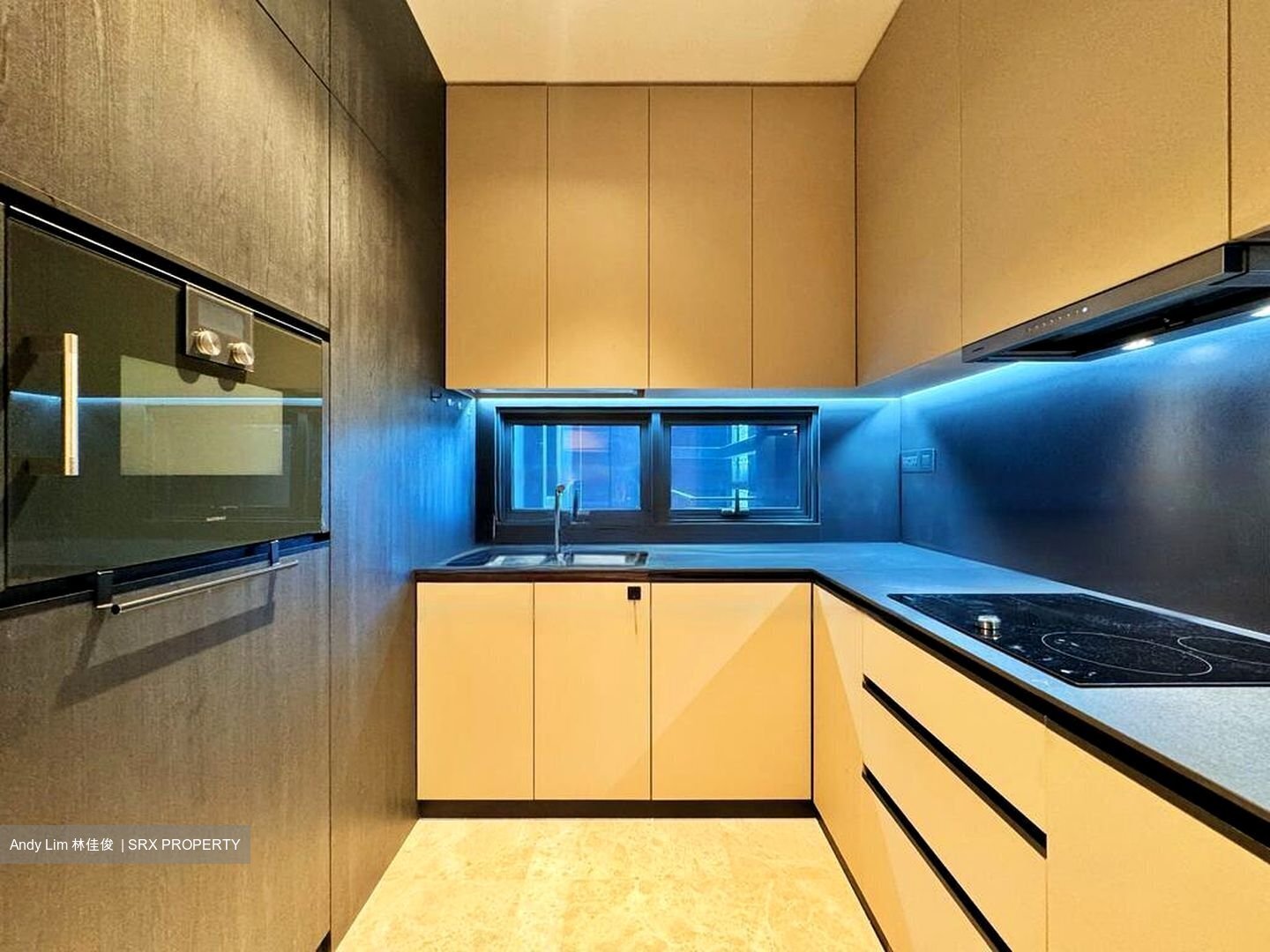 3 Cuscaden (D10), Apartment #457265131